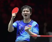 钻石联赛季后赛激情夜！樊振东里突外投，费内巴切险胜多特蒙德的简单介绍